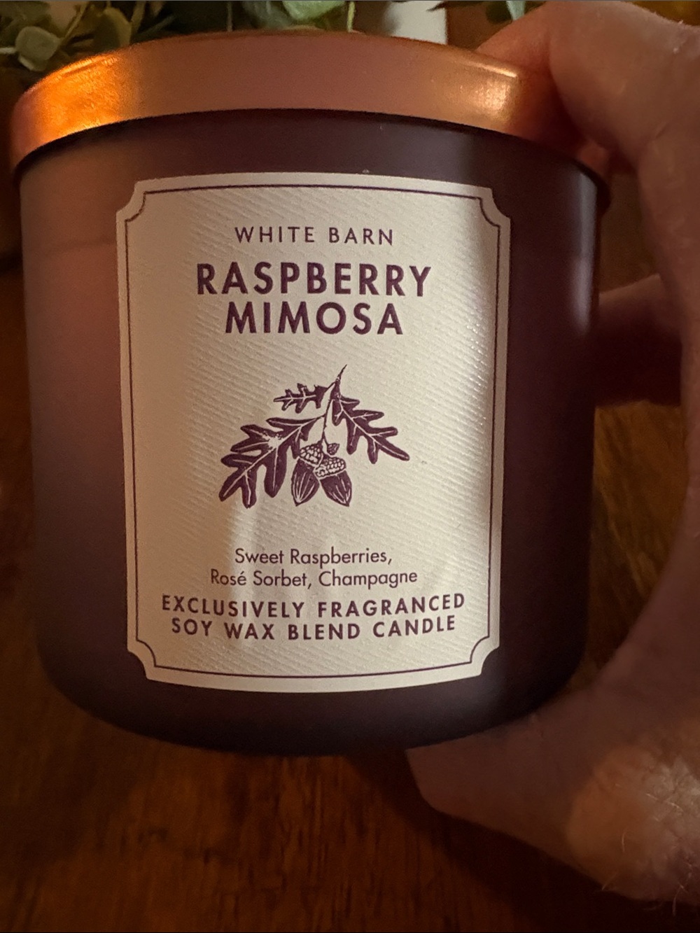 Nwt “Raspberry Mimosa” 3 Wick Candle from White Barn